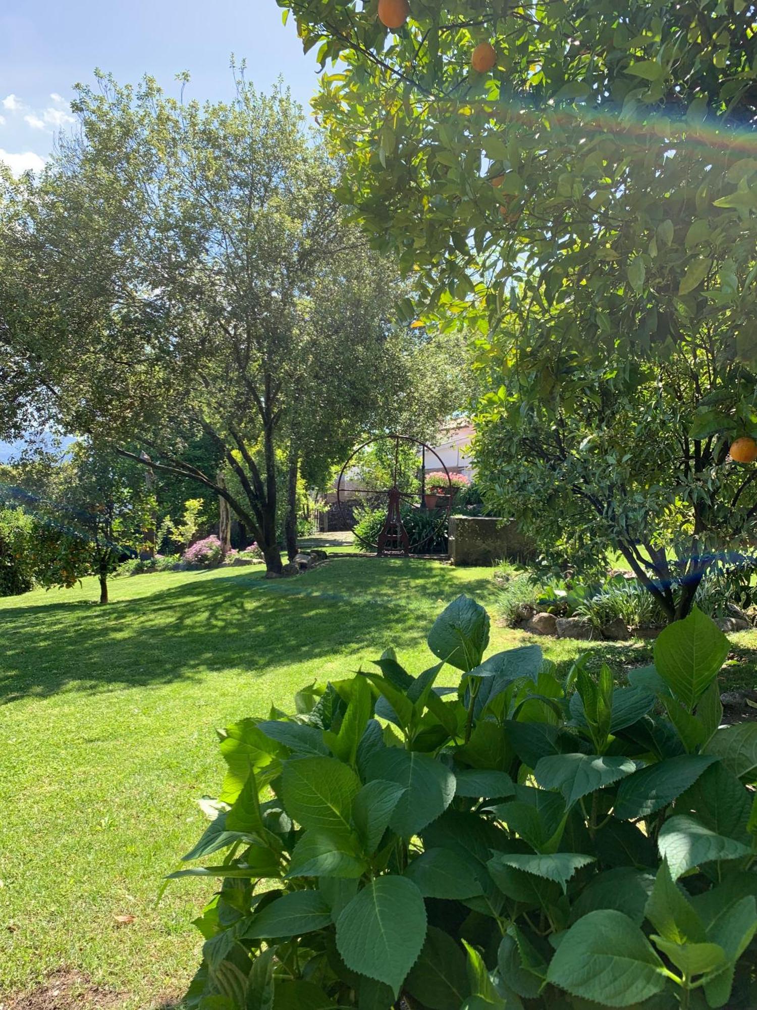 Quinta De Canhoes São Pedro do Sul Exterior foto